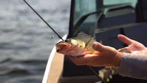 Kabetogama Shines Again thumbnail