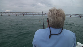 Bahia Honda Tarpon thumbnail