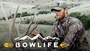 Bowlife thumbnail