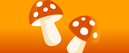 Featured Article Mushroom Mania 11 Fantastic Listens About Fungi