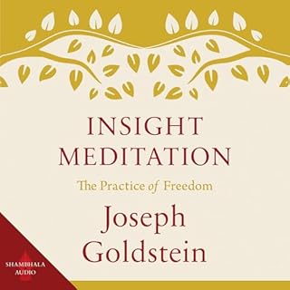 Insight Meditation Audiolibro Por Joseph Goldstein arte de portada