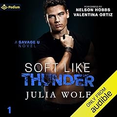 Soft Like Thunder cover art