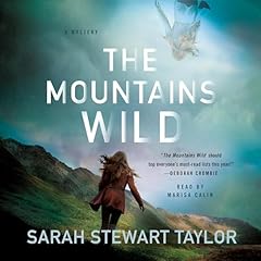 The Mountains Wild Audiobook By Sarah Stewart Taylor cover art