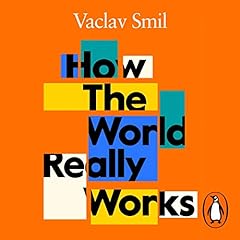 Couverture de How the World Really Works