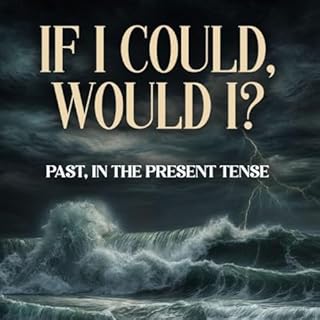 If I Could, Would I? Audiobook By Michale Mohr cover art