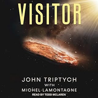 Visitor Audiobook By John Triptych cover art