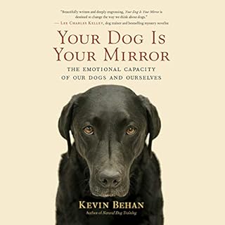 Your Dog Is Your Mirror cover art