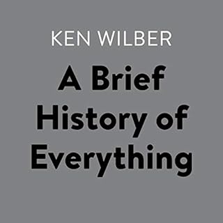 A Brief History of Everything Audiobook By Ken Wilber cover art