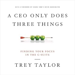 A CEO Only Does Three Things Audiobook By Trey Taylor cover art