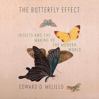 The Butterfly Effect Audiolibro Por Edward D. Melillo arte de portada