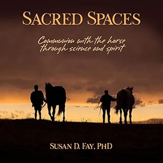 Sacred Spaces Audiobook By Susan D. Fay PhD cover art