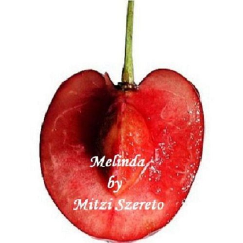 Melinda Audiobook By Mitzi Szereto cover art