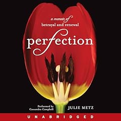 Perfection cover art