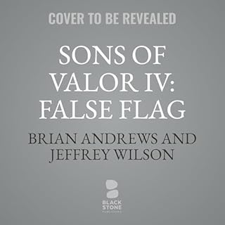 Sons of Valor IV: False Flag Audiobook By Jeffrey Wilson, Brian Andrews cover art