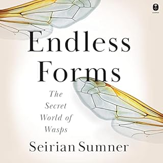 Endless Forms Audiobook By Seirian Sumner cover art