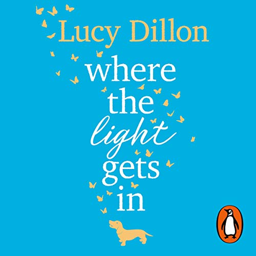 Where the Light Gets In cover art