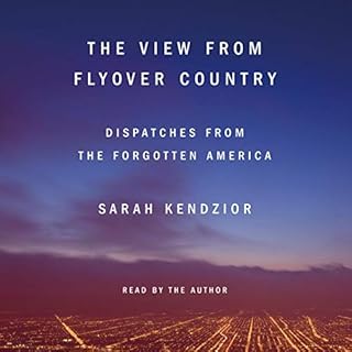 The View from Flyover Country Audiobook By Sarah Kendzior cover art