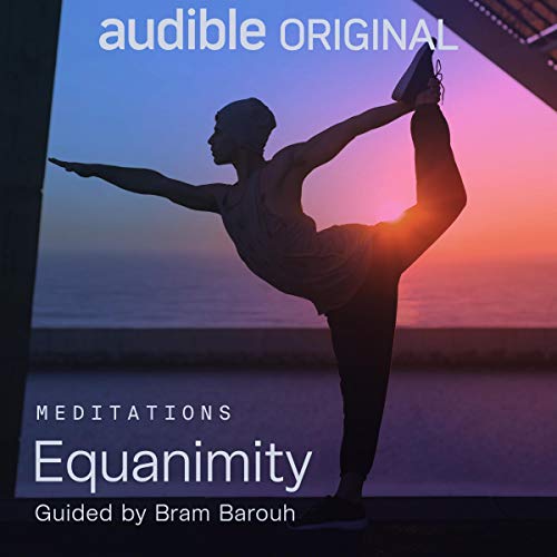 Equanimity Audiolibro Por Bram Barouh arte de portada