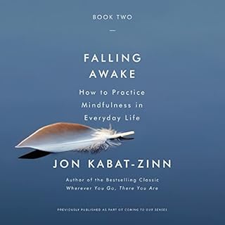 Falling Awake Audiolibro Por Jon Kabat-Zinn arte de portada