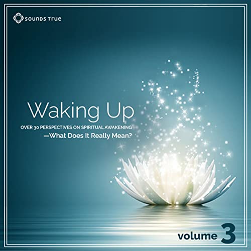 Waking Up: Volume 3 Audiolibro Por Shinzen Young, Sera Beak, Michael Bernard Beckwith, Jeff Foster, Judith Blackstone, Rick H