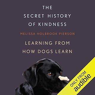 The Secret History of Kindness Audiobook By Melissa Holbrook Pierson cover art