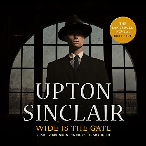 Wide Is the Gate Audiolibro Por Upton Sinclair arte de portada