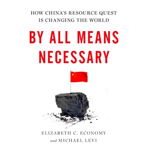 By All Means Necessary Audiobook By Elizabeth Economy, Michael Levi cover art