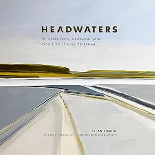 Headwaters Audiobook By Dylan Tomine, John Larison - foreward cover art