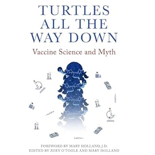 Turtles All the Way Down Audiolibro Por Anonymous arte de portada