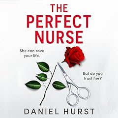 The Perfect Nurse cover art