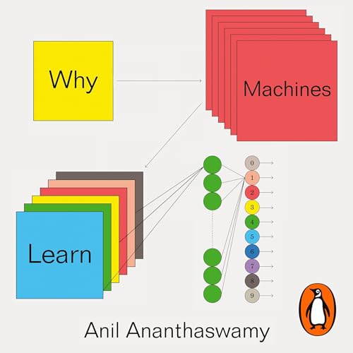 Why Machines Learn Audiobook By Anil Ananthaswamy cover art