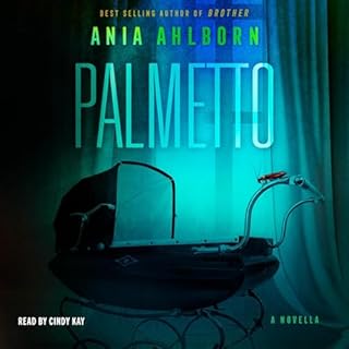 Palmetto Audiobook By Ania Ahlborn cover art