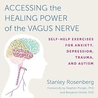 Accessing the Healing Power of the Vagus Nerve Audiobook By Stanley Rosenberg, Benjamin Shield - foreword cover art