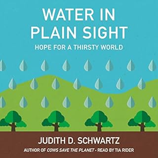 Water in Plain Sight Audiobook By Judith D. Schwartz cover art