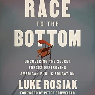 Race to the Bottom Audiolibro Por Luke Rosiak arte de portada