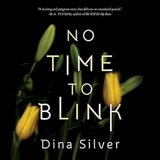 No Time To Blink Audiolibro Por Dina Silver arte de portada