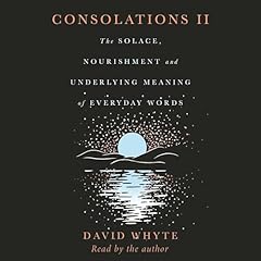 Consolations II cover art