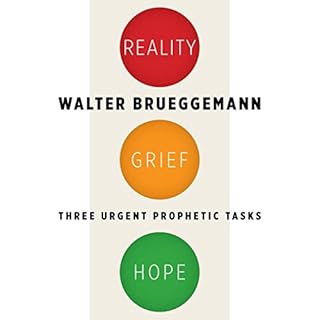 Reality, Grief, Hope Audiolibro Por Walter Brueggemann arte de portada