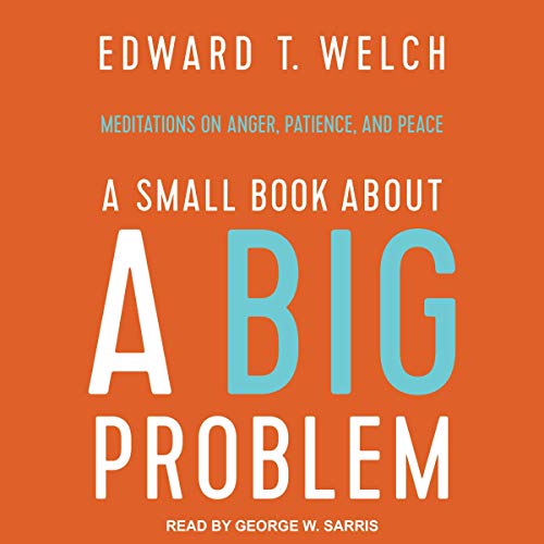 A Small Book about a Big Problem Audiobook By Edward T. Welch cover art