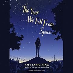 The Year We Fell from Space cover art