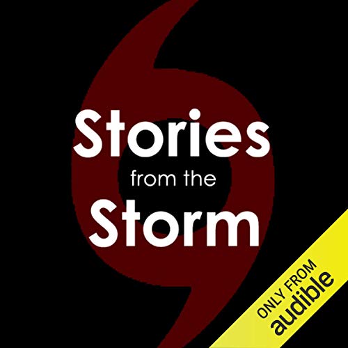 Stories from the Storm Audiobook By Audible Studios cover art