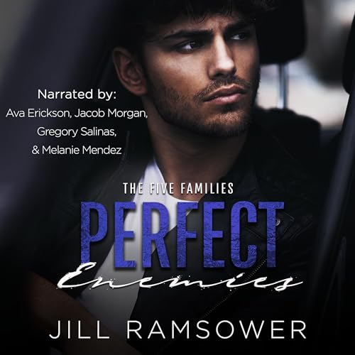 Perfect Enemies Audiobook By Jill Ramsower cover art