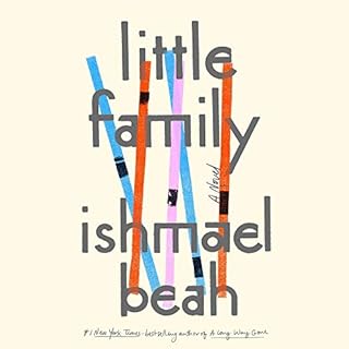 Little Family Audiolibro Por Ishmael Beah arte de portada