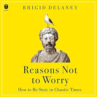 Reasons Not to Worry Audiobook By Brigid Delaney cover art