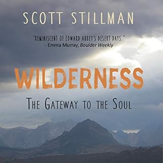 Wilderness, the Gateway to the Soul Audiobook By Scott Stillman cover art