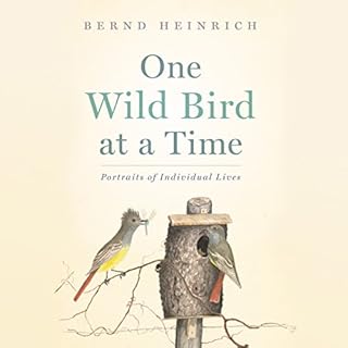 One Wild Bird at a Time Audiobook By Bernd Heinrich cover art