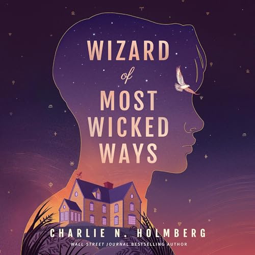 Wizard of Most Wicked Ways Audiobook By Charlie N. Holmberg cover art