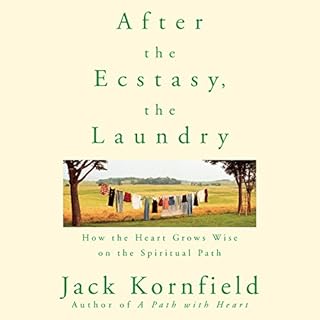 After the Ecstasy, the Laundry Audiobook By Jack Kornfield cover art