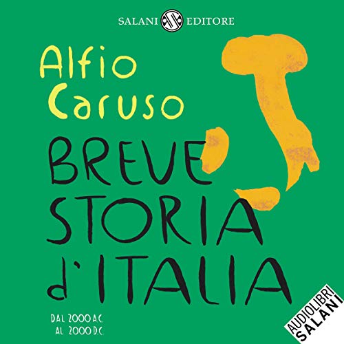 Breve storia d'Italia Audiobook By Alfio Caruso cover art