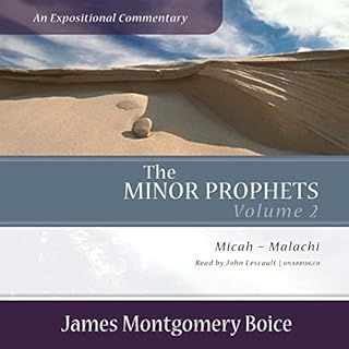 The Minor Prophets: An Expositional Commentary, Volume 2 Audiolibro Por James Montgomery Boice arte de portada